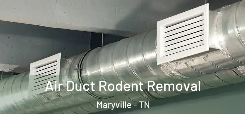  Air Duct Rodent Removal Maryville - TN