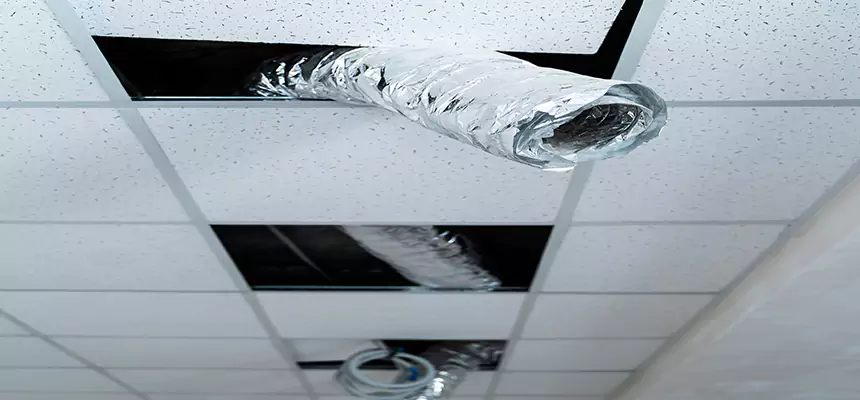 Affordable HVAC Sanitizing After Pest Removal in Maryville