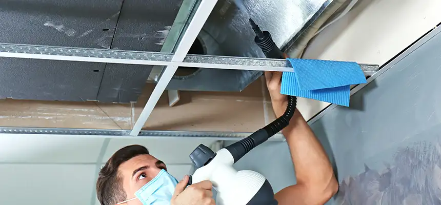 Our Air Duct Rodent Removal Services in Maryville, TN