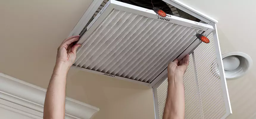 Our Insect Removal from Air Ducts Services in Maryville, TN
