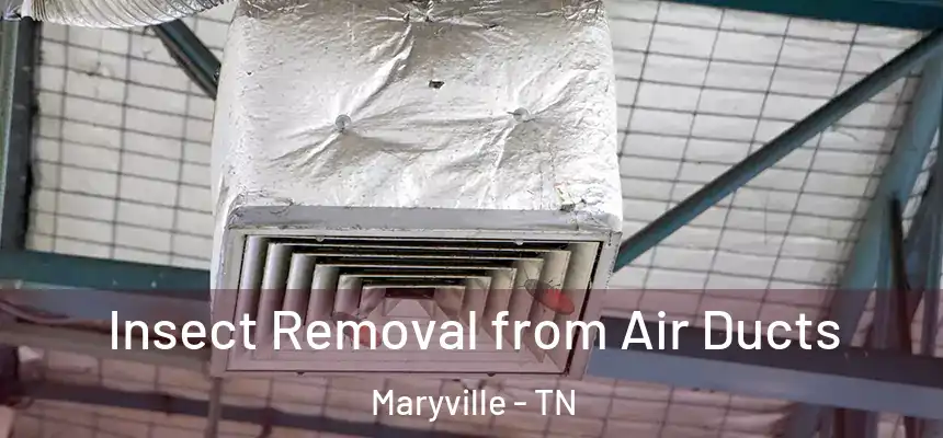  Insect Removal from Air Ducts Maryville - TN