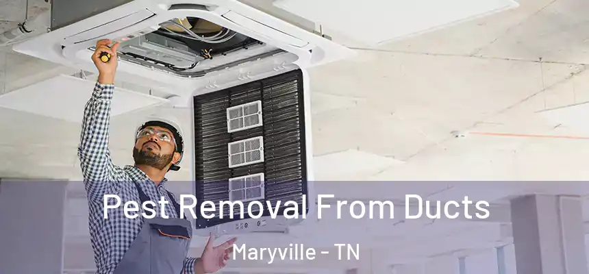  Pest Removal From Ducts Maryville - TN