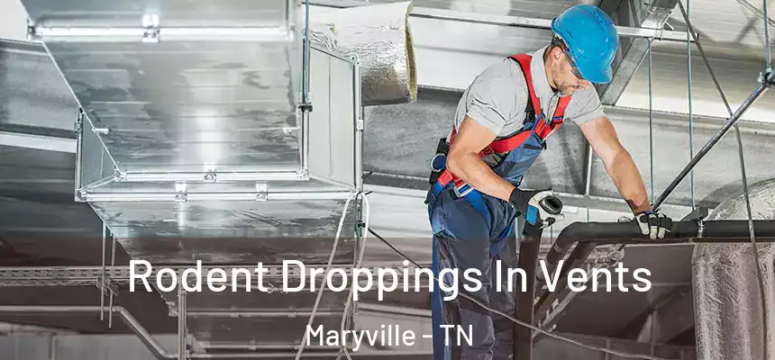  Rodent Droppings In Vents Maryville - TN