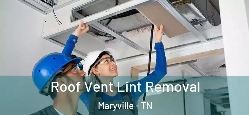  Roof Vent Lint Removal Maryville - TN