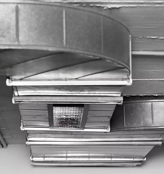 Professional Air Duct Pet Hair Removal in Maryville, TN