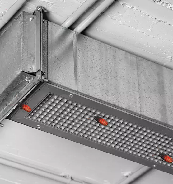 Affordable Insect Removal from Air Ducts in Maryville, TN