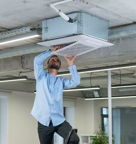Advanced Rodent Droppings In Vents in Maryville, TN