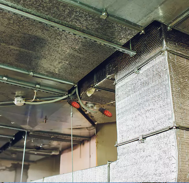 Why Homeowners & Businesses Trust Us in Maryville, TN?