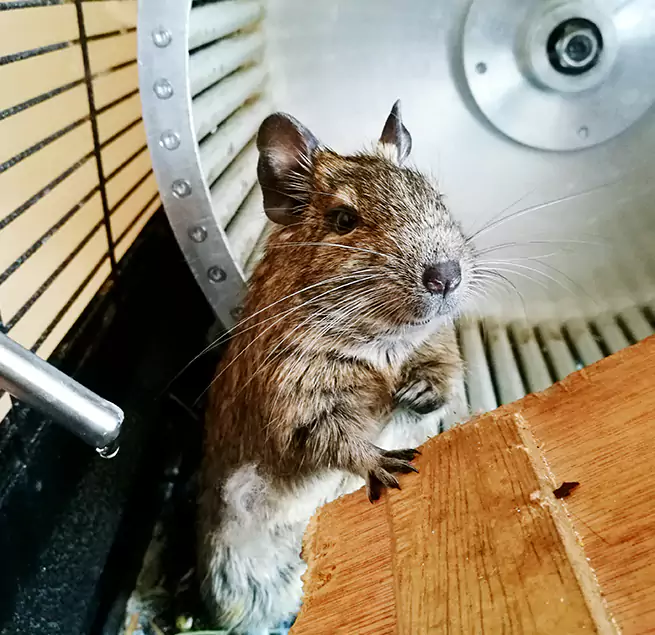 Why Homeowners & Businesses Trust Us Maryville, TN?