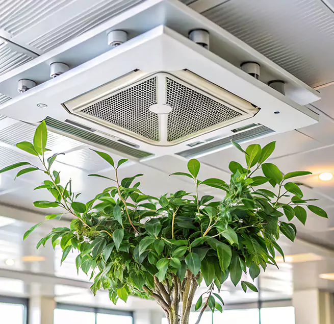 Why Homeowners & Businesses Trust Us in Maryville, TN?